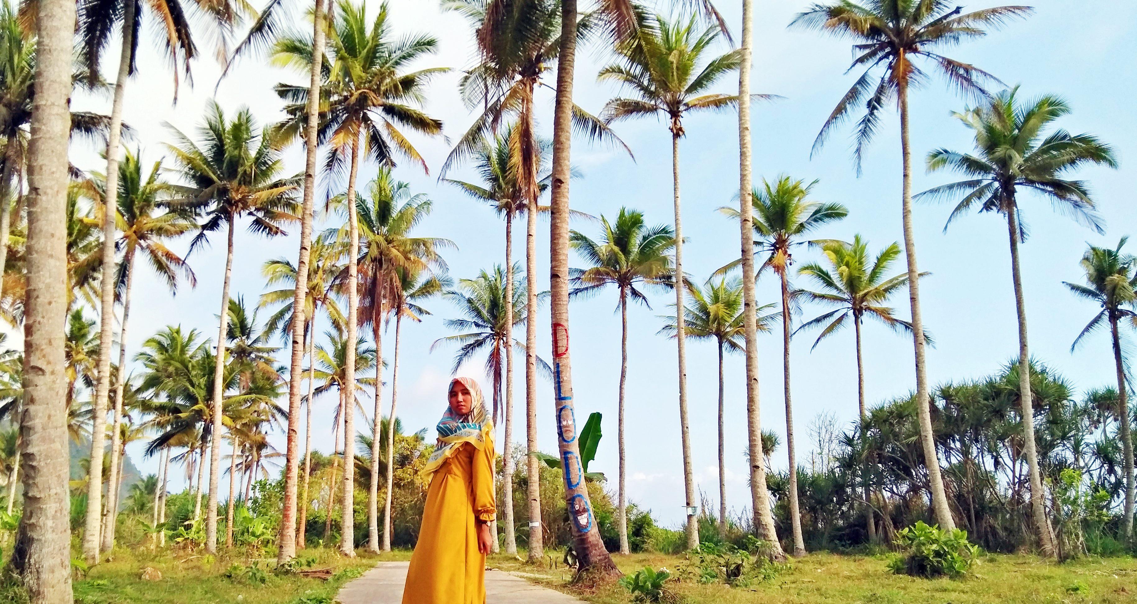 Pantai Dlodo Wisata Alam Menawan Di Tulungagung Selain