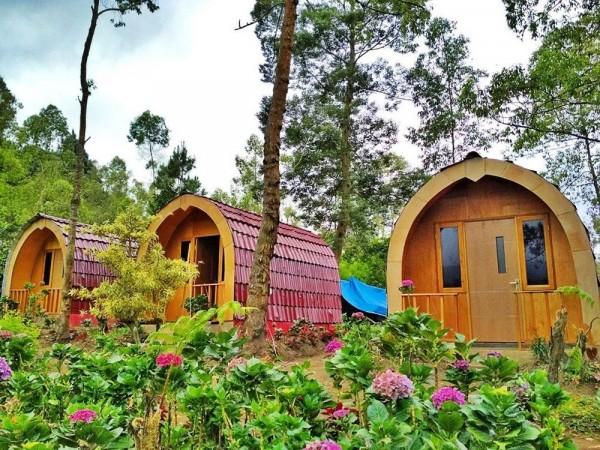 5 Homestay Dengan Konsep Super Unik Di Batu Malang Dijamin Betah