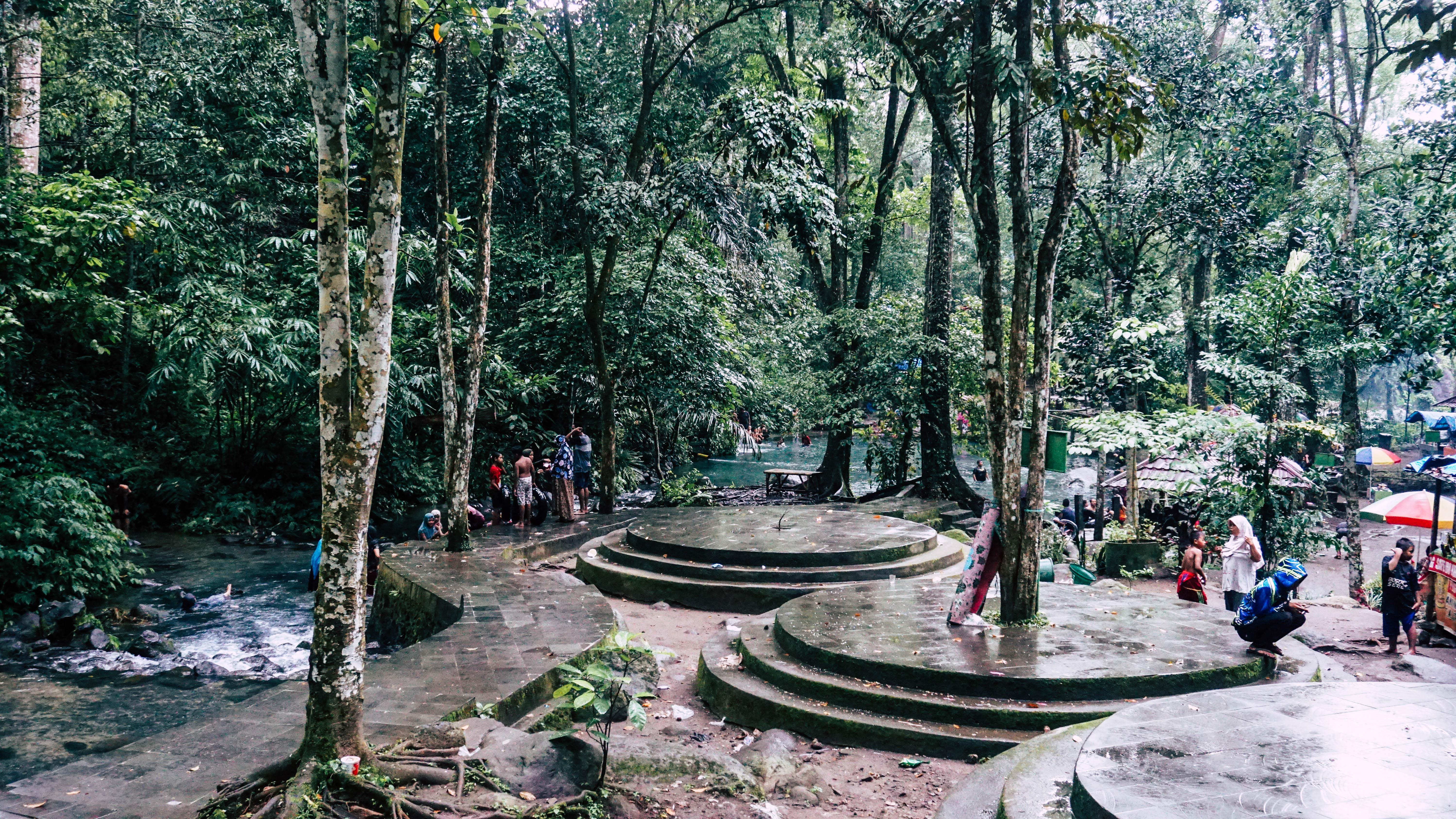 Wisata Aik Nyet Sesaot Segarnya Pemandian Alami Di Hutan