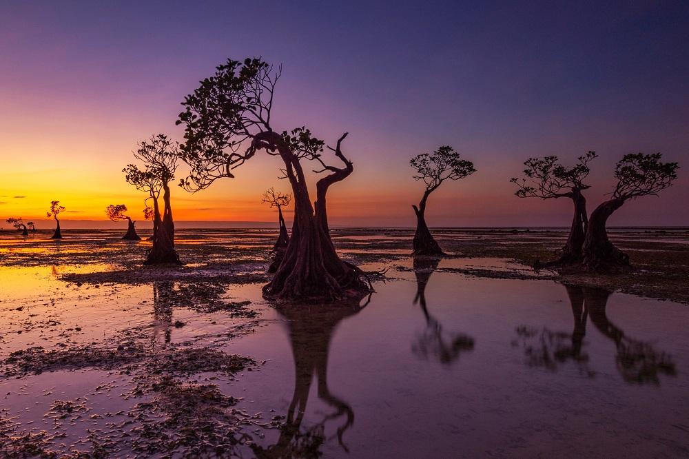 Menilik Panorama Pantai Walakiri Di Sumba Yang Selalu