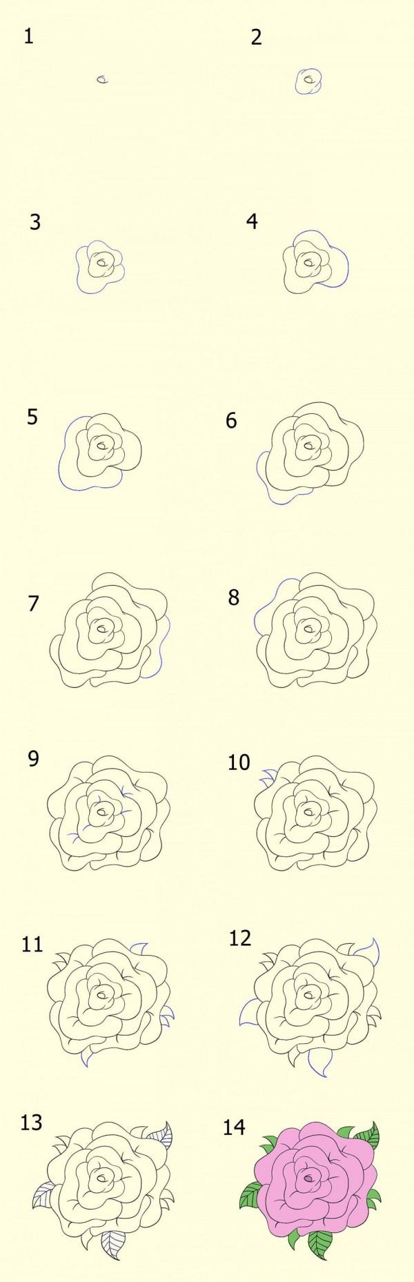 3 Cara Menggambar Sketsa Bunga