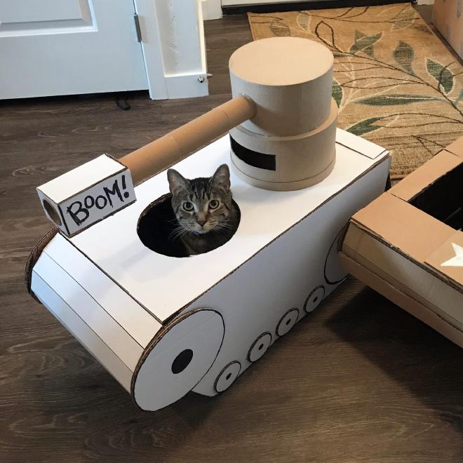 DIY: Cara Membuat Kardus Bekas Jadi Tempat Tidur Kucing Cantik  KURIO
