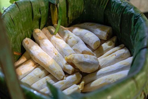 Tapai Makanan Hasil Fermentasi Dengan Aneka Variasi Endeustv 7888