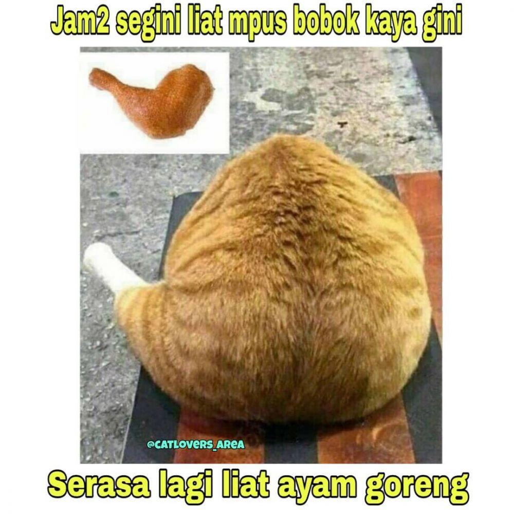 10 Meme Lucu Kurang Fokus Waktu Puasa Ini Bikin Susah Nahan Tawa